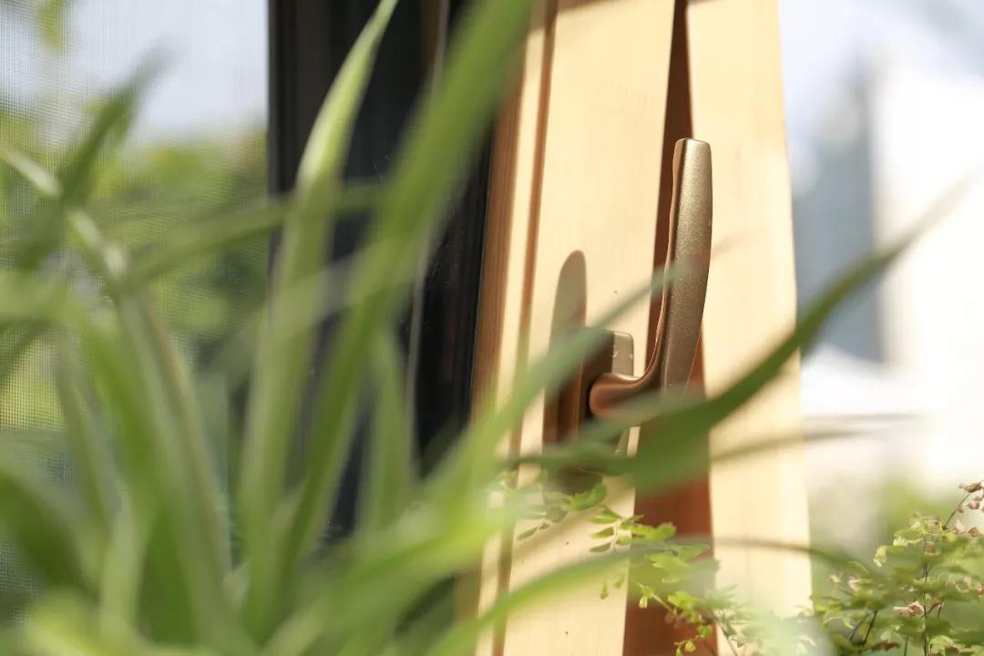森鹰铝包木窗备受崇尚“人居自然”的设计师青睐