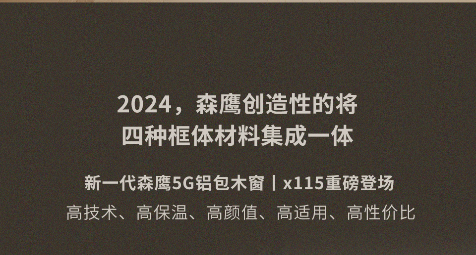 森鹰5G铝包木窗-x115