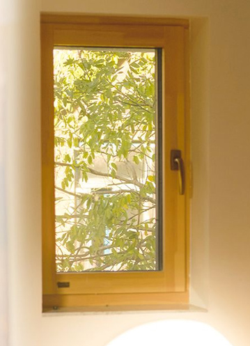 怎么做才能达到个人碳中和呢？