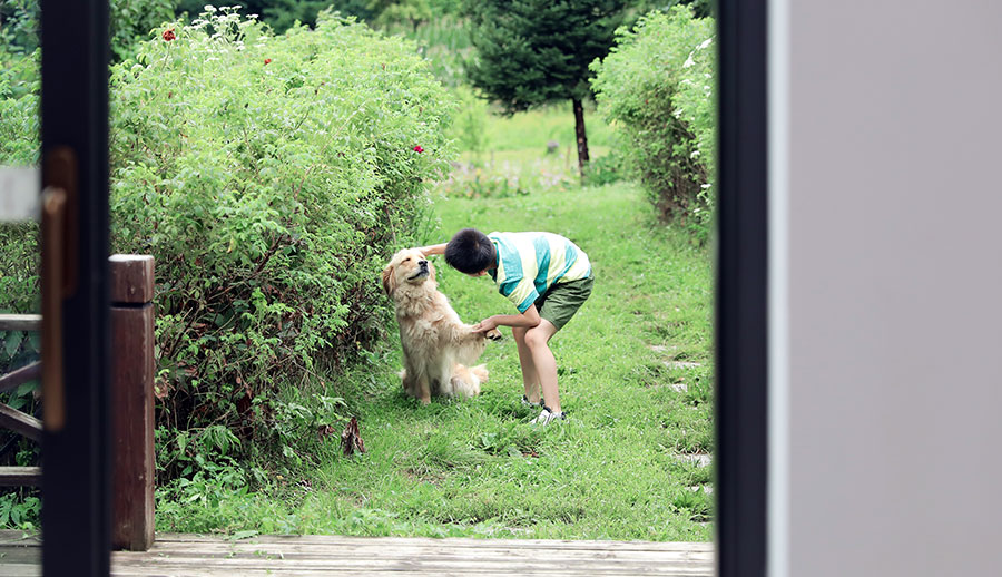 森鹰纤木S220-slim提升推拉门②