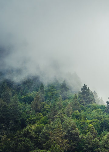 用窗户·挡住气候变化