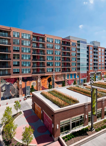 如何推进实现零碳目标并营造治愈性环境?