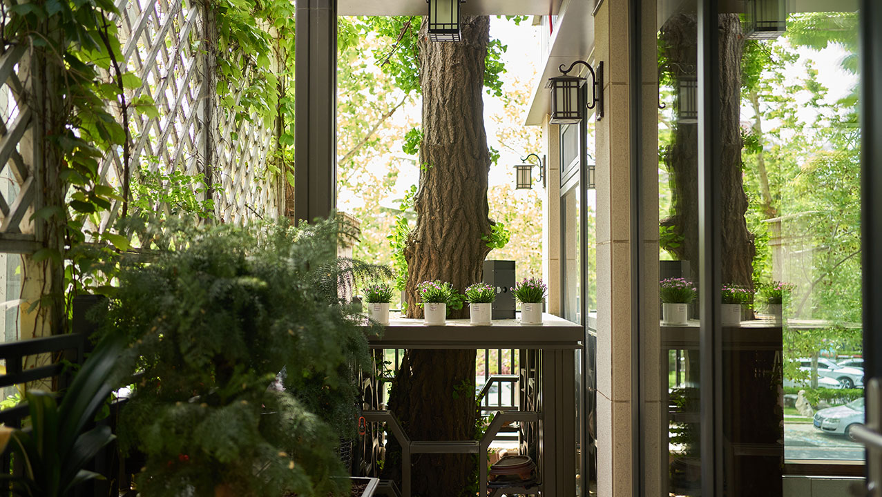 理想的家系列丨一个高情远韵的家