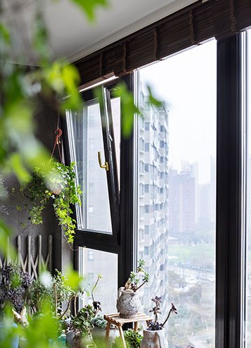 森鹰重磅新品震动行业，品牌升级大会圆满成功！