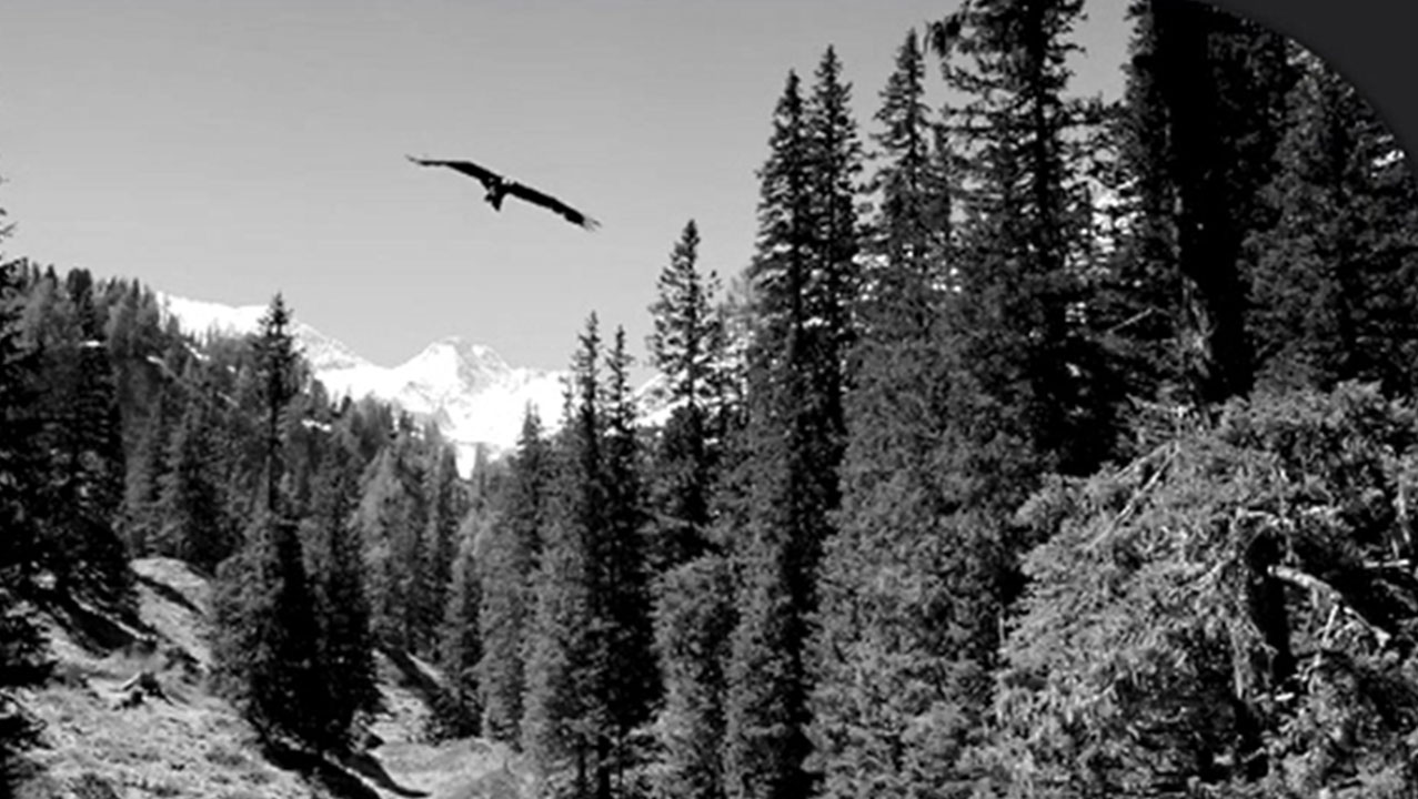 25周年系列短片——品牌名·创业梦