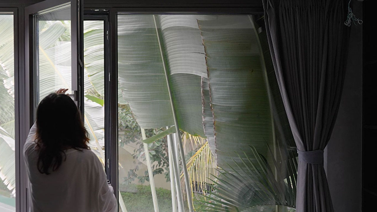 森鹰理想的家系列丨绿叶成荫的家