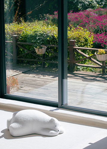 郑州双会联动：开启绿色建筑与智能建造新篇章