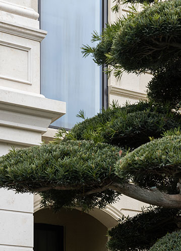 安徽城镇新建民用建筑将全面“变绿”