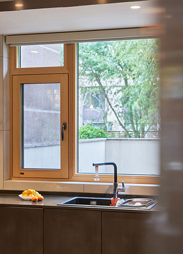 积极推进“双碳”目标 开启绿色发展新征程