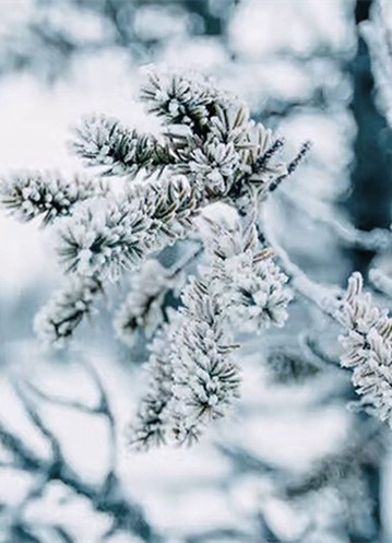 漫天的大雪都来了，家里需要保温的日子还远吗？